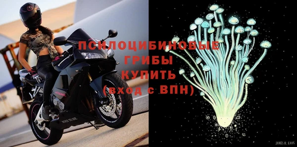 бошки Богородск