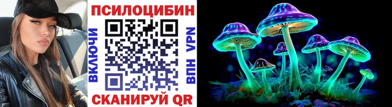 Галлюциногенные грибы Psilocybe  купить наркоту  гидра как зайти  Яранск 